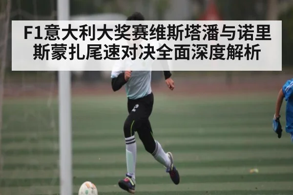 F1意大利大奖赛维斯塔潘与诺里斯蒙扎尾速对决全面深度解析 - KAIYUNAPP
