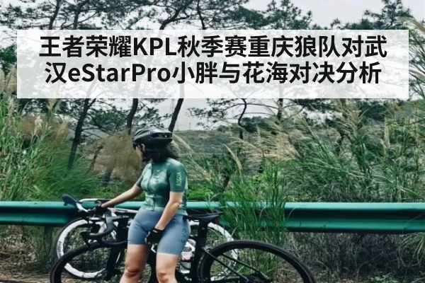 王者荣耀KPL秋季赛重庆狼队对武汉eStarPro小胖与花海对决分析 - KAIYUNAPP